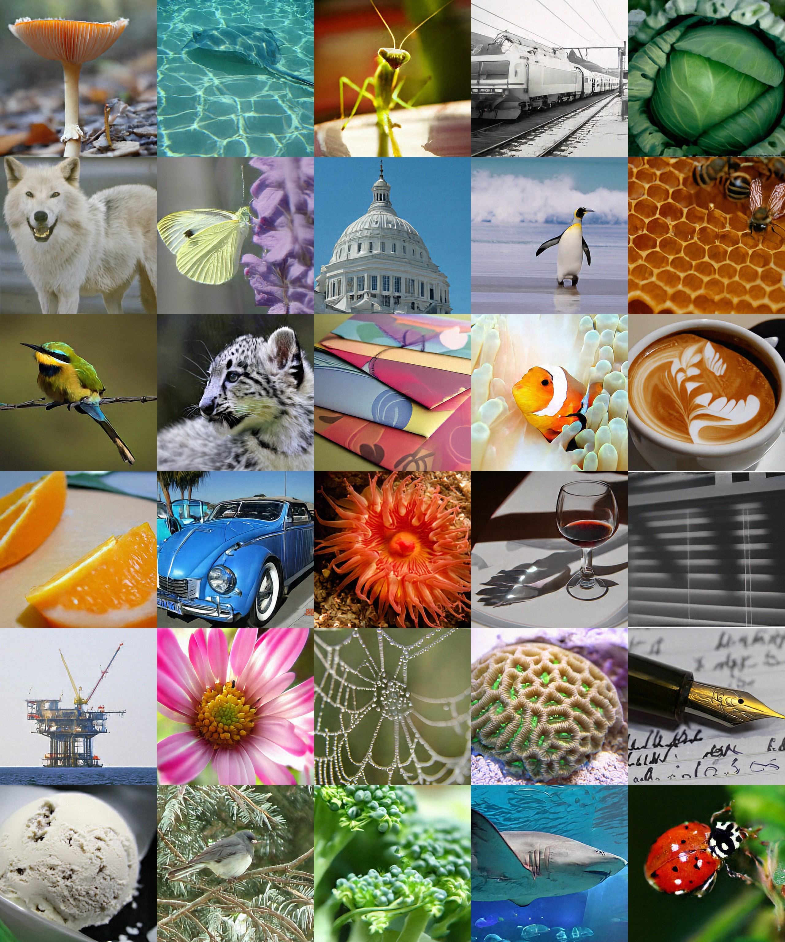 JiT ImageNet 256x256 Samples
